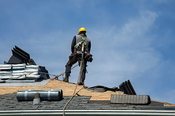 Professional Roofing technician working in Danbury, TX